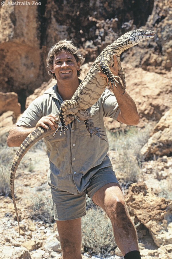 AustraliaZoo tweet picture