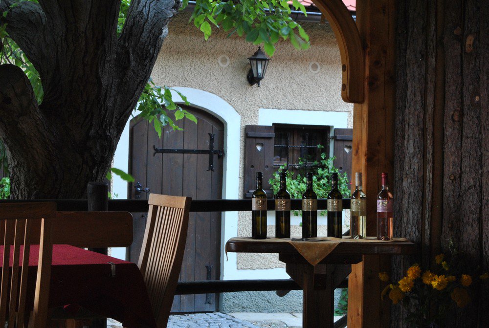 Sloveniansun's tweet photo. Gelukkige #SintMaarten / Happy & tasteful #Martinovanje #sLOVEnia Einde druivenpluk, bedankt buurtjes! #pickagrape https://t.co/zQCchMpuPu