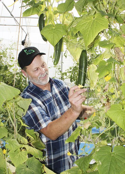 WLHydroponics's tweet photo. .@homegrownbyhero help veterans forge ag-careers with #hydroponics https://t.co/qH2iXVBjZw https://t.co/G6hZuaplHK