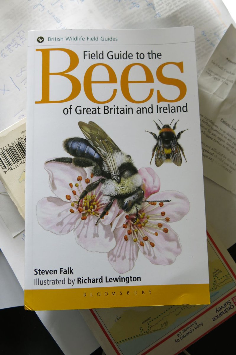 MarkCocker2's tweet image. Just got this by brilliant @rlewington2 and S Falk. We can all now i.d. our inner bee: 275 species, not just 1