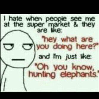 anke_vosloo's tweet image. 