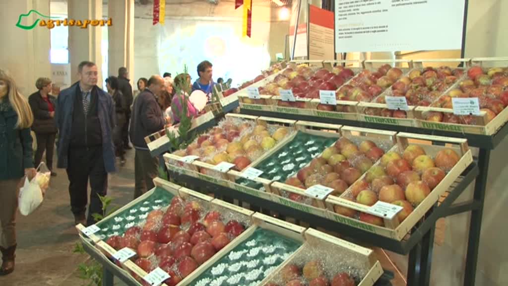agrisapori's tweet photo. #tuttomele a @cavour questa settimana #agricoltura e #sapori su https://t.co/NMdT0j6J4Y https://t.co/xdghq2YZNg