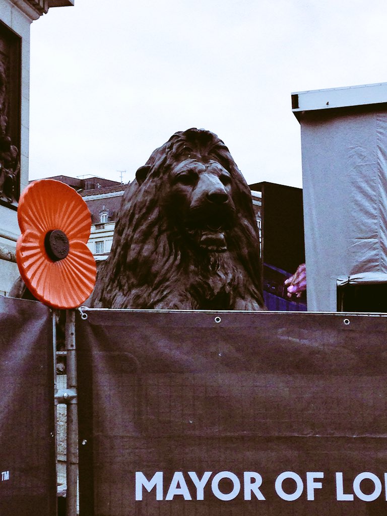 FACLTD's tweet photo. #Nurse and #paramedic teams on standby today for @PoppyLegion #SilenceintheSquare #TwoMinuteSilence #ArmisticeDay https://t.co/POz6CWpaf6