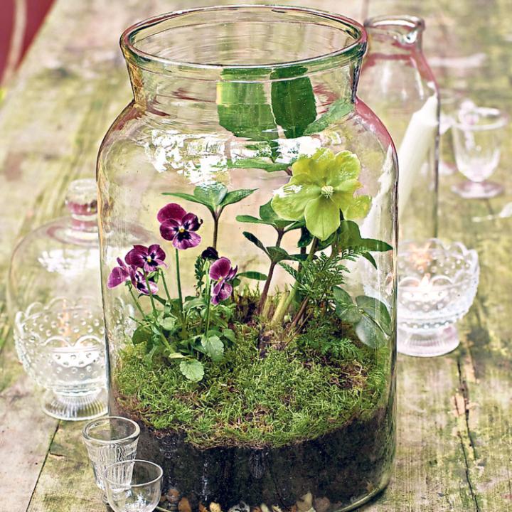 Why not get creative, and turn your garden into a haven this winter
telegraph.co.uk/gardening/how-…
