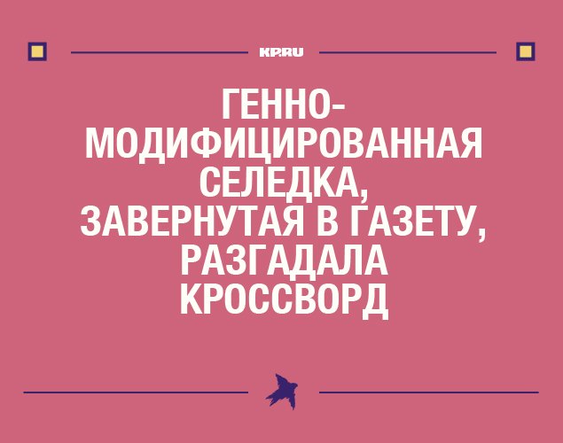 rincedsx's tweet photo. Почитаем анекдоты и посмеемся: https://t.co/865J91jYTB #анекдоты https://t.co/qiAQOyif2A