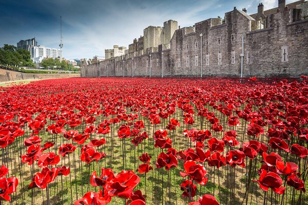 We'll be observing a two minutes silence at 11am today. #ArmisticeDay #LestWeForget