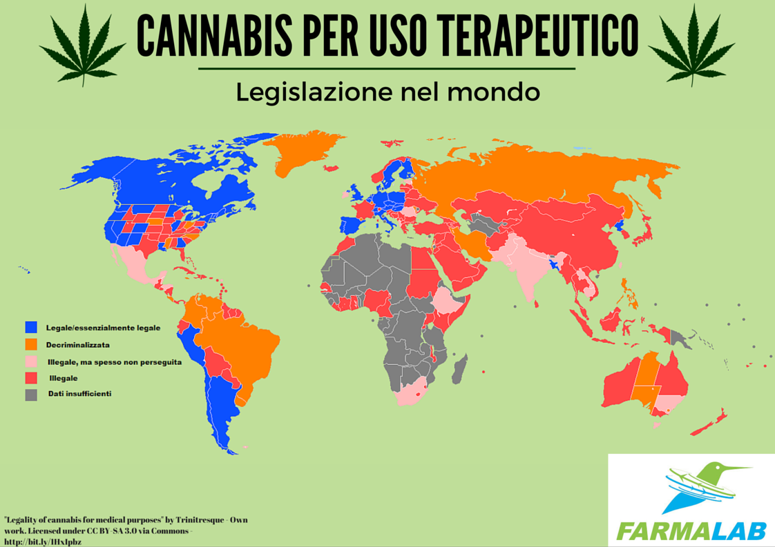 #cannabisterapeutica nel mondo #infografia #cannabis