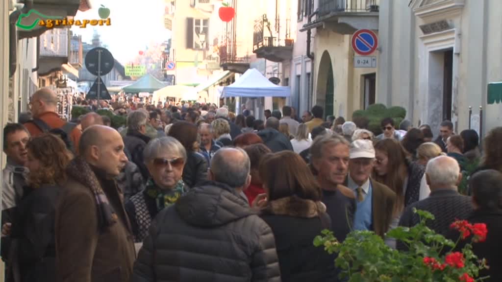 agrisapori's tweet photo. #frittelle di #mela buonissime fino al 15 nov a #cavour se ti basta vederle https://t.co/NMdT0j6J4Y in tv e su web https://t.co/rzcBjnZUKi