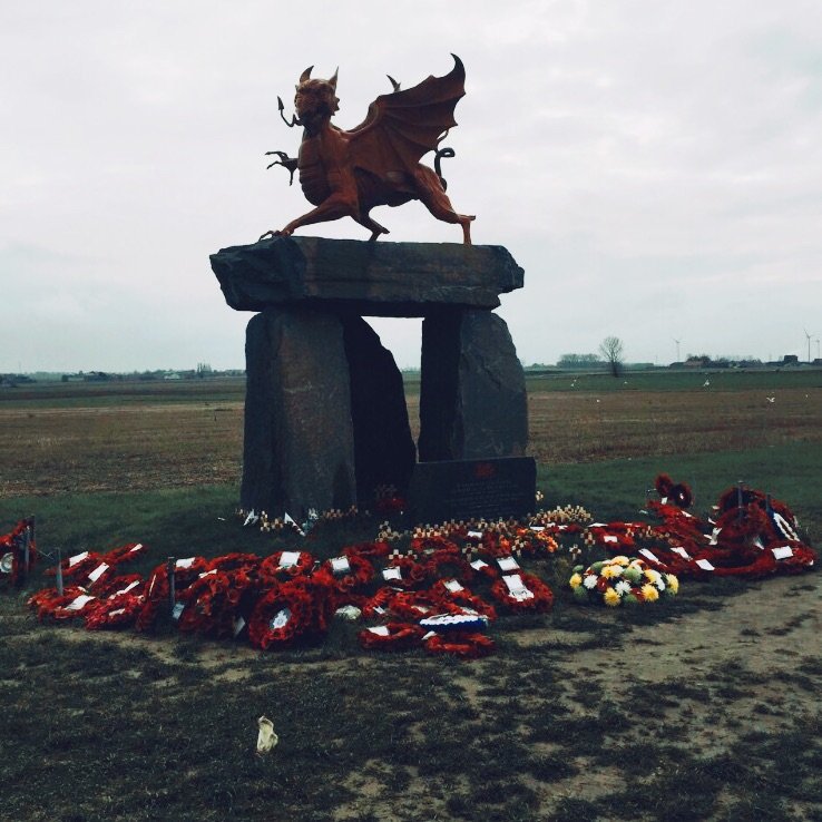 GarethBale11's tweet photo. They gave their tomorrow, so we could have our today. #LestWeForget  #RemembranceDay 🌺 https://t.co/gSflea1gWu