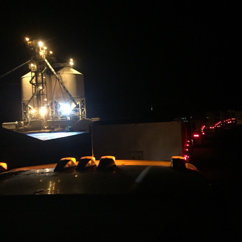 BrettShearwood's tweet image. #harvest15 #Narromine #grainflow