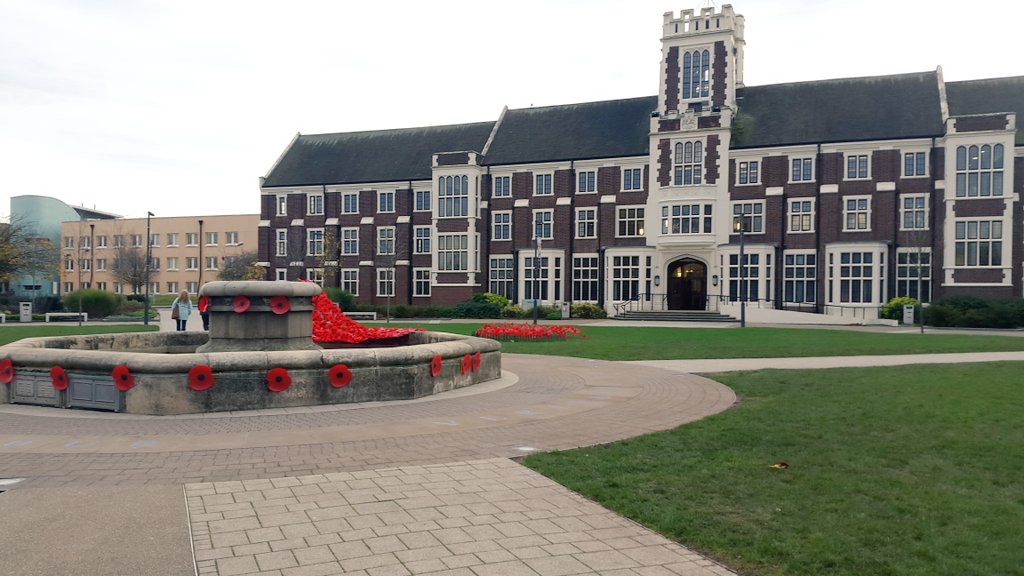 Tammy_Beaumont's tweet photo. Lest we forget. Beautiful tribute @lborouniversity for remembrance day. #11/11 https://t.co/IrGbhZ0ryv