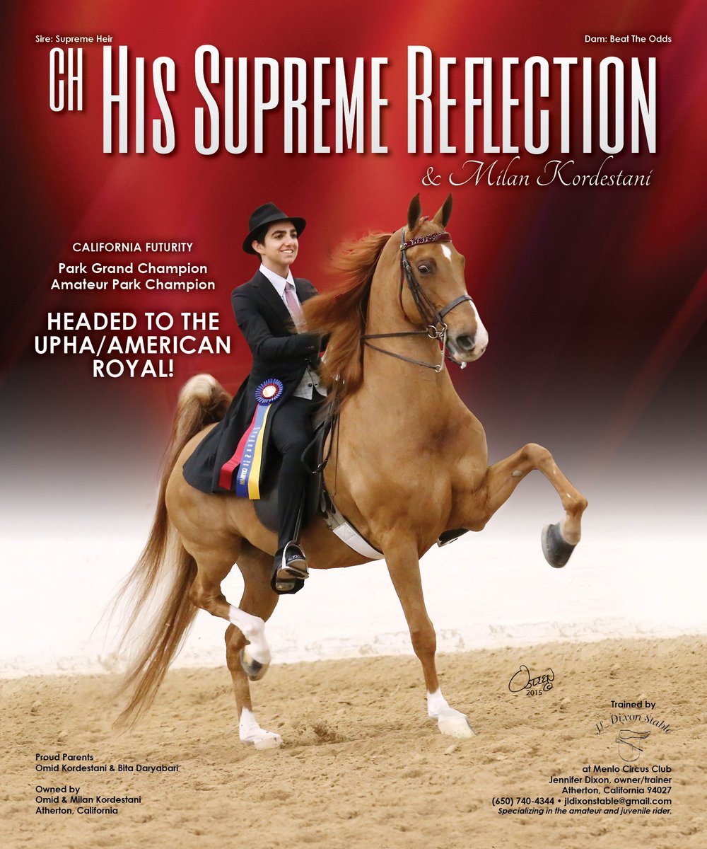 National Horseman On Twitter Ch His Supreme Reflection Milan Kordestani Https T Co Vbsdxmuy2h Https T Co Vosj37tc8u