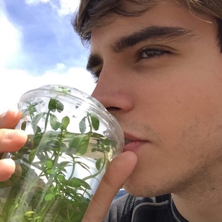 disadvcntage's tweet photo. 🍃 https://t.co/mQLFBg5ol7