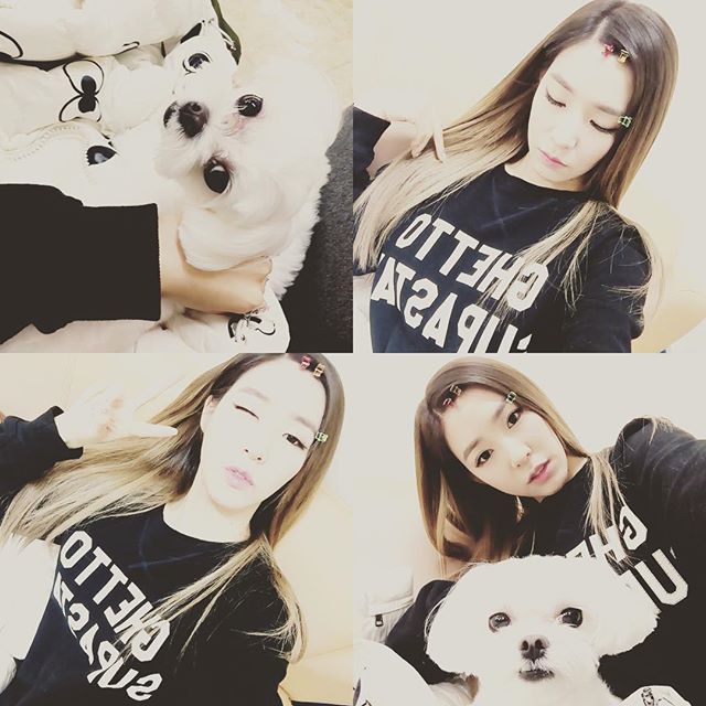 MyPreciousNine's tweet photo. [FANYSTAGRAM] #sweater day ️❄
@haklim_lee
@beaker_store 
#21CB https://t.co/k4hhRM93RO