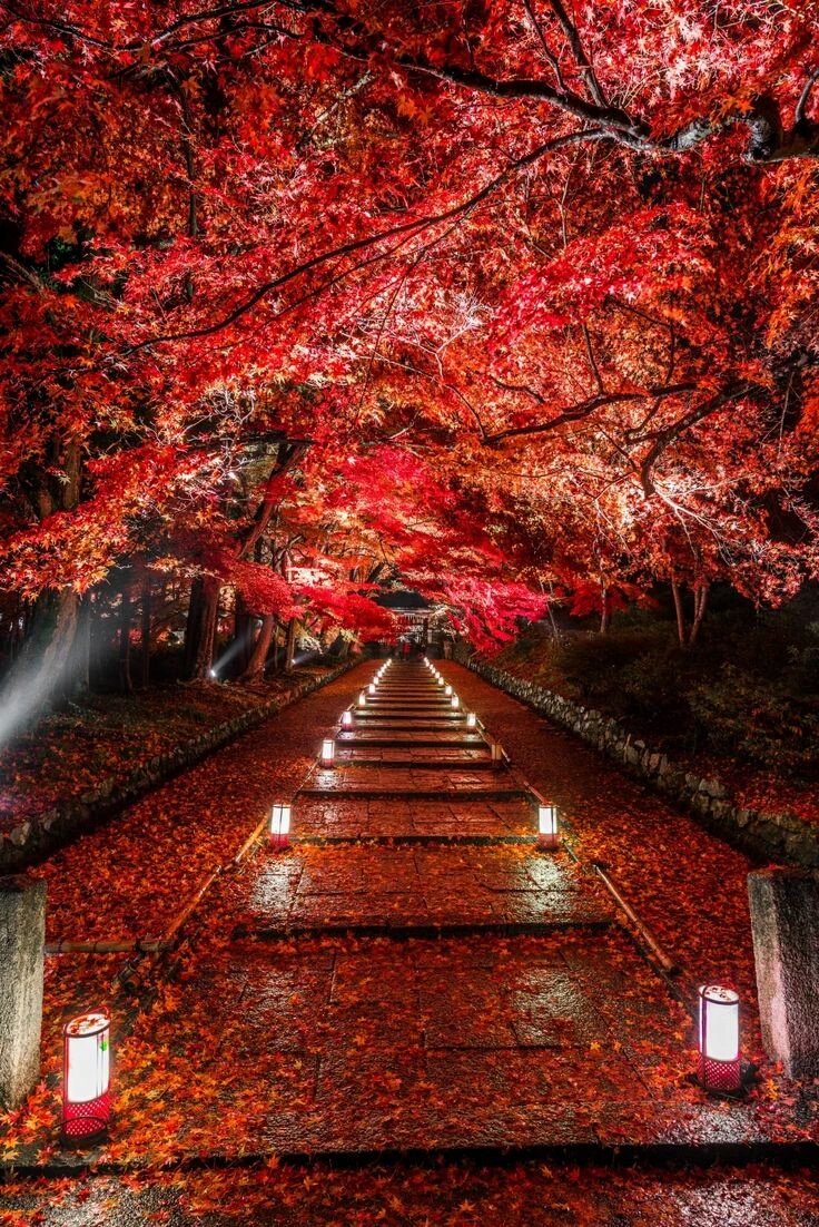 zeyil's tweet photo. Lovely road. . https://t.co/oAaMAlllIF