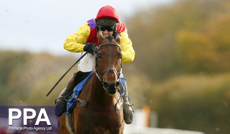 ppauk's tweet photo. Great triple for @dickyjohnson77 @PJHobbs1 @ExeterRaces @TheJockeyClub @WMNSport @LooseyLocket @ExEchoSport https://t.co/X2Z60DWfmx