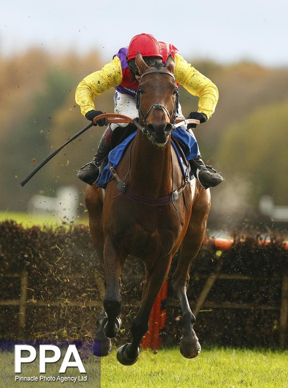 ppauk's tweet photo. Great triple for @dickyjohnson77 @PJHobbs1 @ExeterRaces @TheJockeyClub @WMNSport @LooseyLocket @ExEchoSport https://t.co/X2Z60DWfmx