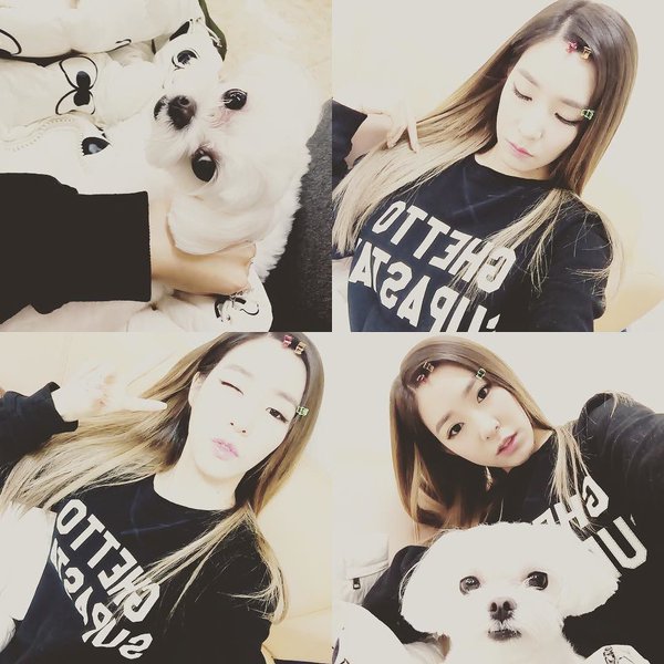 AllAbout_TaeNy's tweet photo. 11/11/15 Tiffany instagram2
xolovestephi: #sweater day ❄️✨
@/haklim_lee
@/beaker_store 
#21CB https://t.co/O00cXALiCj