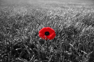 #LestWeForget those that made the ultimate sacrifice for what we have today. #Remember #Orangeville