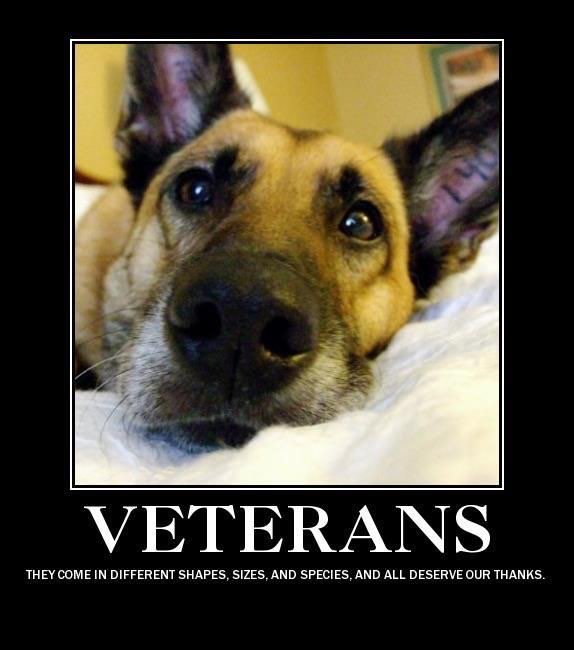 We are proud to honor all our veterans, including the K9 members of the armed forces.Thank you #MilitaryWorkingDogs