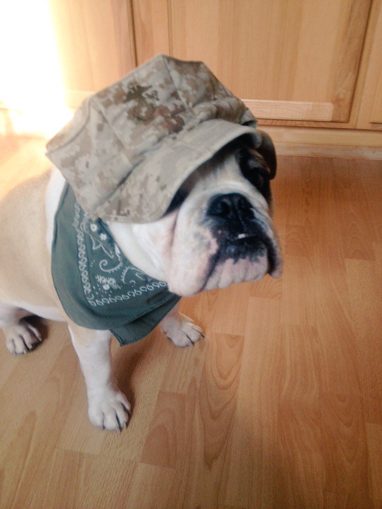 MissCamiFlage's tweet photo. Think I could pass as a Marine? Named me Cami Flage for a reason! #oldpic #soldierintraining #USMC #OohRah #SemperFi https://t.co/XZ3PGFNOJU