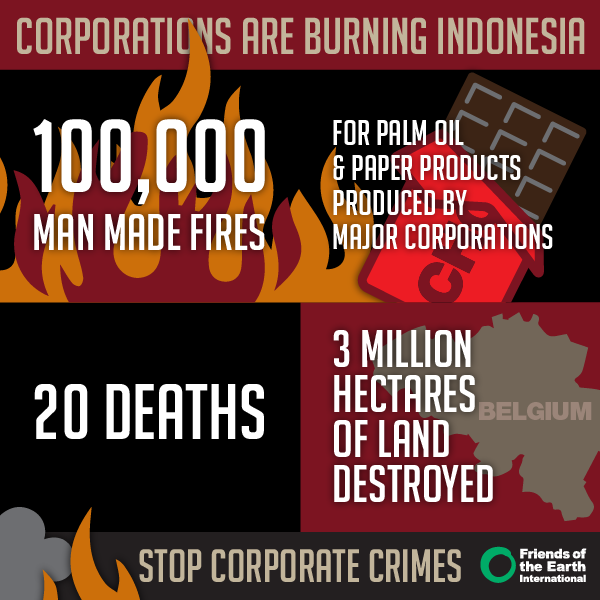 StellaMaHa's tweet photo. 3 Mio. Hektar #Regenwald und #Torfmoore durch Feuer in #Indonesien zerstört. Unfassbar! https://t.co/9PlfgQ4nsZ