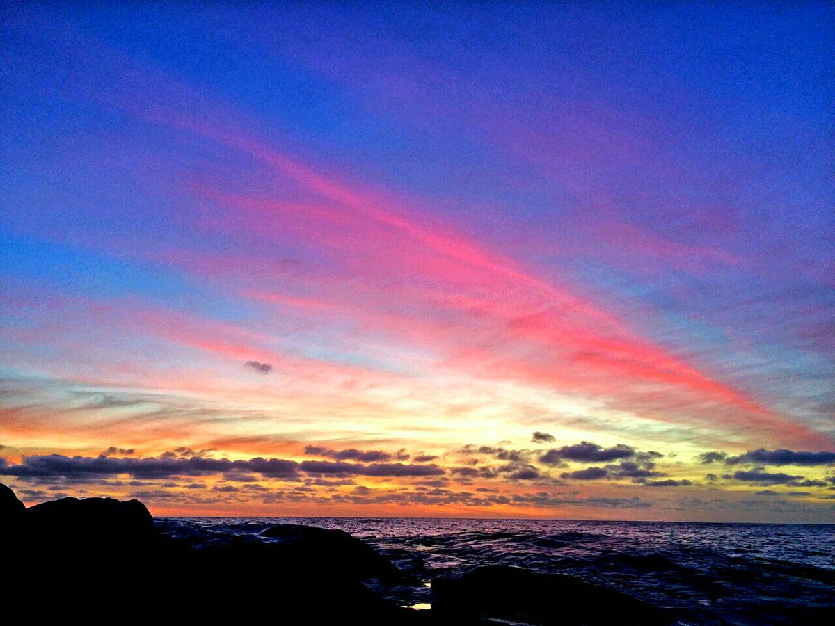 Ronnie T tweet media