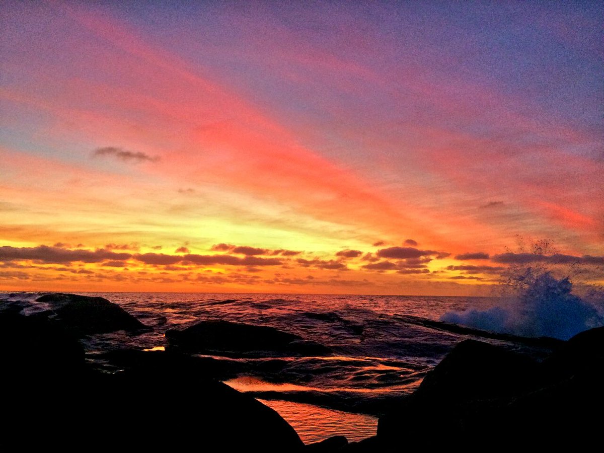 Ronnie T tweet media