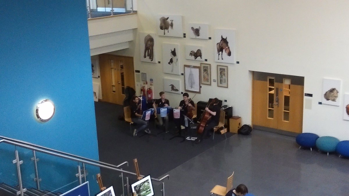 AVTRW_UK's tweet photo. Standard lunch time @NottinghamVets with our own string quartet!!! https://t.co/YUwupgq3BZ