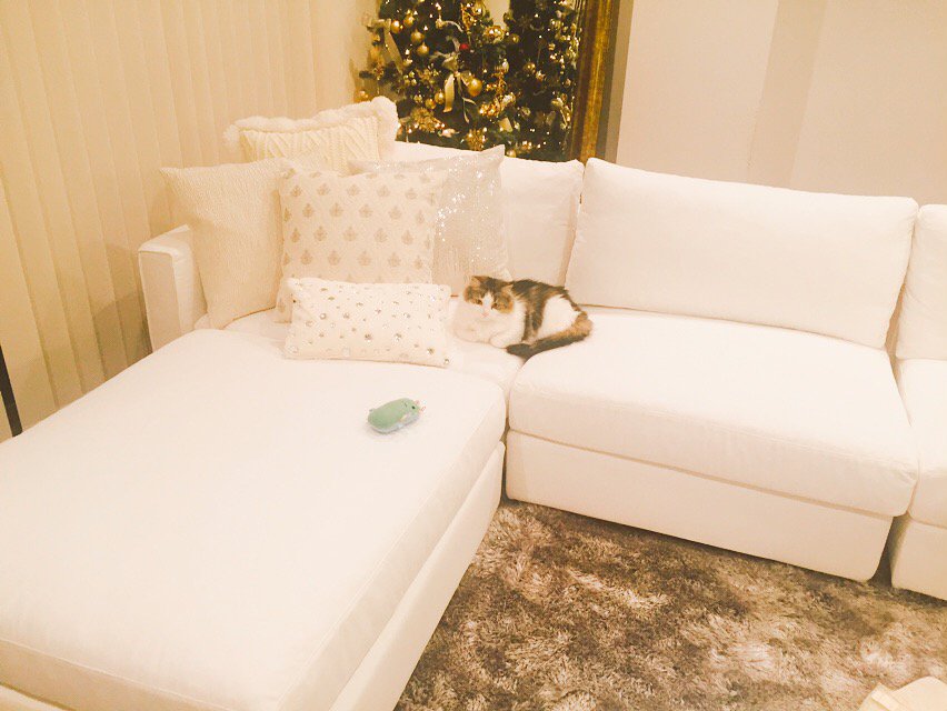 山中修 (osamu331) Twitter