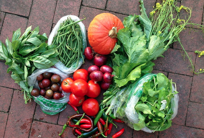 Cool story a group of #Detroit's #urbanfarms that came together to start a CSA ow.ly/Uw9qJ v <a href="/civileats/">Civil Eats</a>