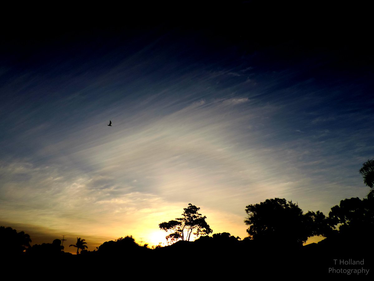 When the World Whispers "BTS" tweet media