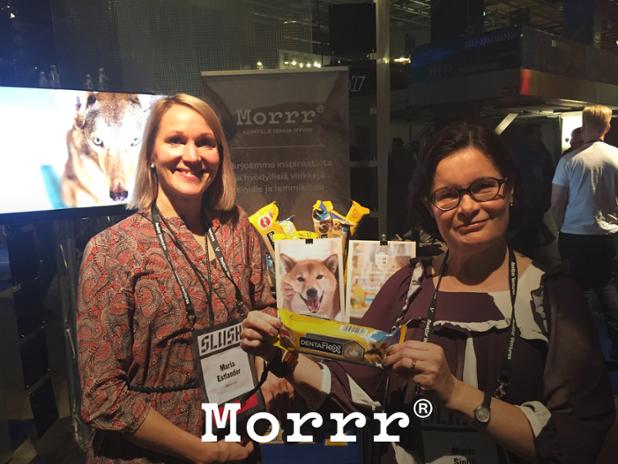 Morrrpets's tweet photo. Start up coach and #pet owner, Maria Sipilä helps #startups enter the UK! Dress from @IvanaHelsinki  #Slush15 https://t.co/CauShimoe9