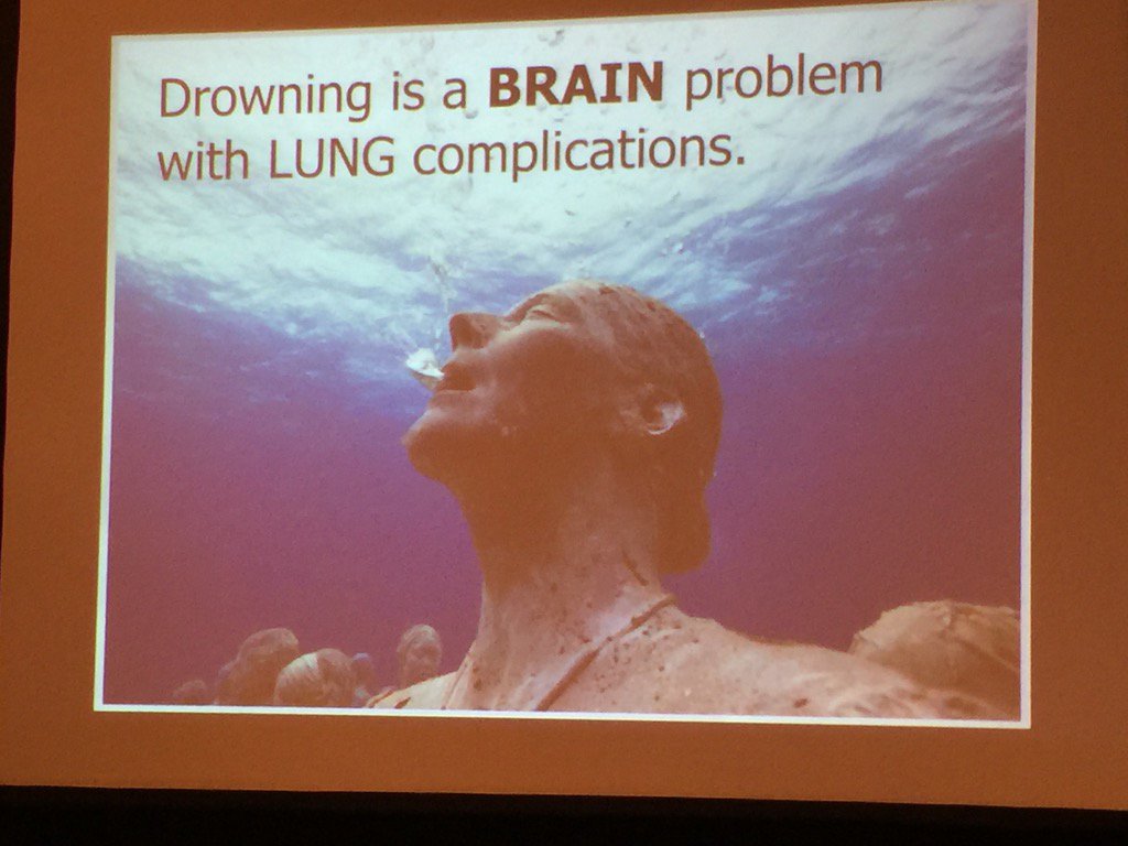 JuanitaBueschle's tweet photo. Drowning is a brain problem with lung complications @LifeguardsWB #PROaquatics https://t.co/3aXaVD0TMN