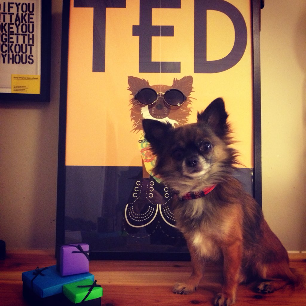 Tilly&Teddy tweet media