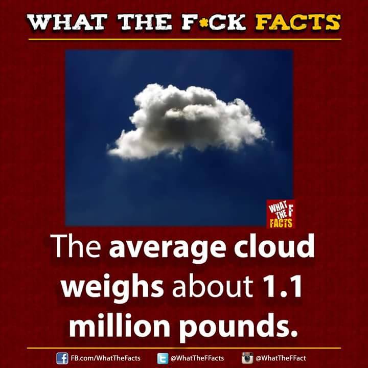 WhatTheFFacts's tweet photo. This is so weird to think about! https://t.co/N2GFNChNlQ