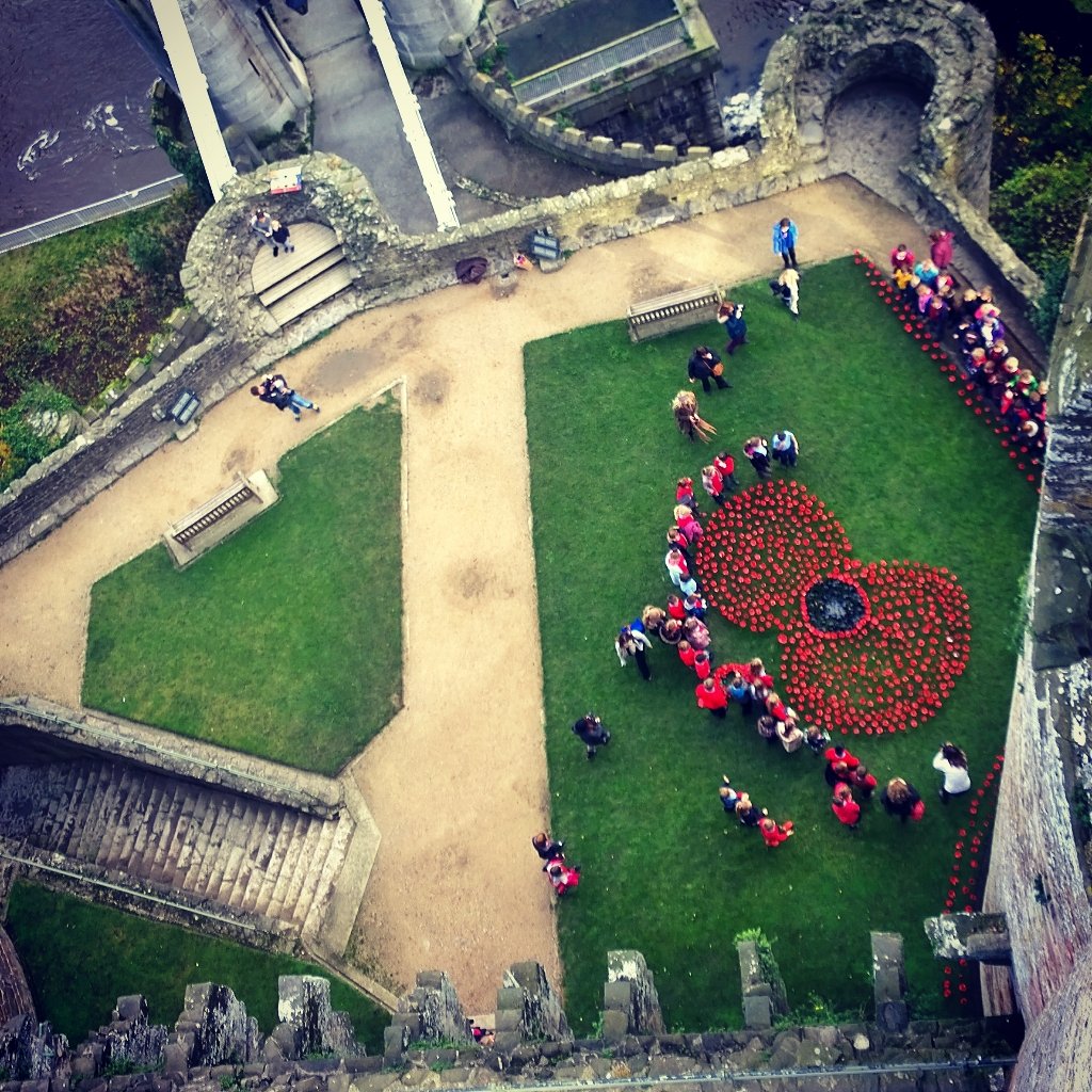 ErinHillforts's tweet image. Children of #Conwy surround their poppy #art. #Honoured to have worked on the @PoppyWorkshops #ConwyCastle project