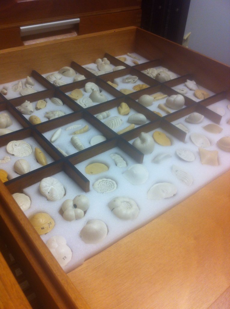 mickynairn's tweet photo. The original 19th century foram models of D'Orbigny! Amazing collections of @NHM_Micropalaeo #ForamSchool https://t.co/LVd7wuXQWi