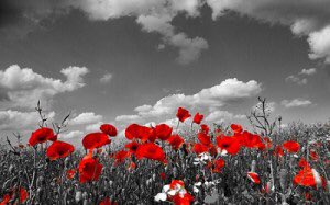 OctaneMorganA's tweet photo. Take a few moments out of your day today to remember #LestWeForget https://t.co/dDEFLI8QV5