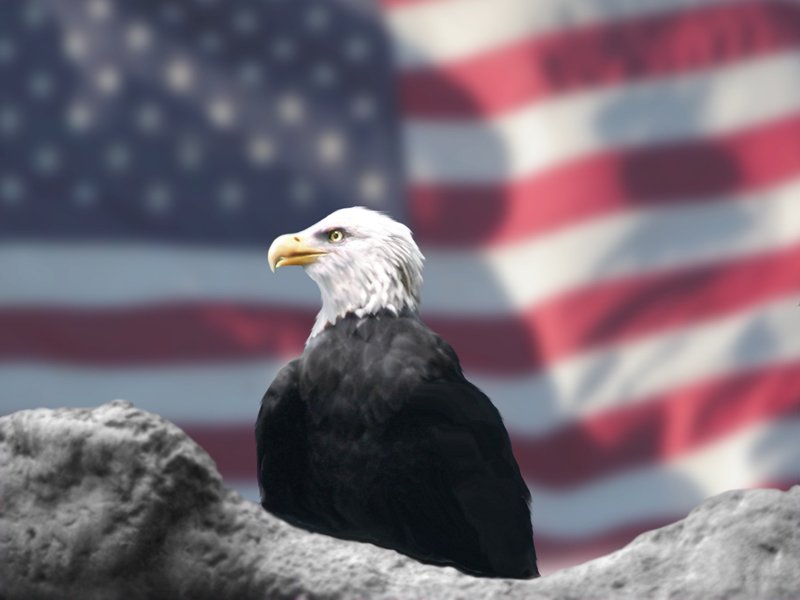SandyAdams4FL tweet picture
