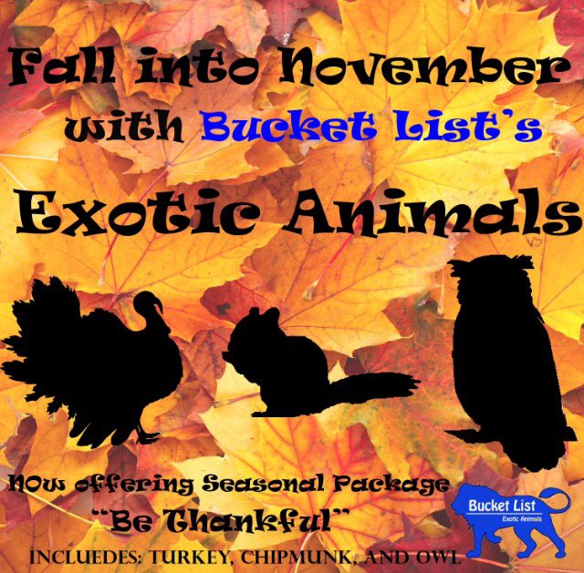 wvbucketlist's tweet photo. Bucket List's November Seasonal Package is now available at https://t.co/w5NRx8oiwD 🦃🐿🍁 https://t.co/8ZpeIMl6ee