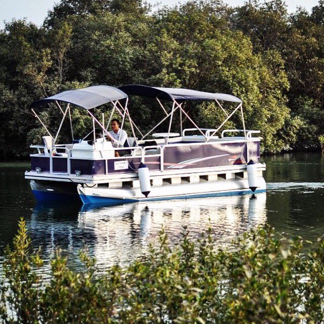 #سي_هوك رحلة مشاهدة الطيور في القرم الشرقي #أبوظبي 026736688