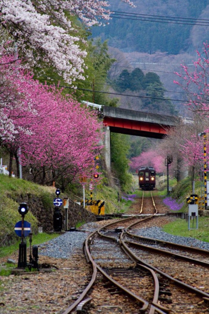 To japan by train
