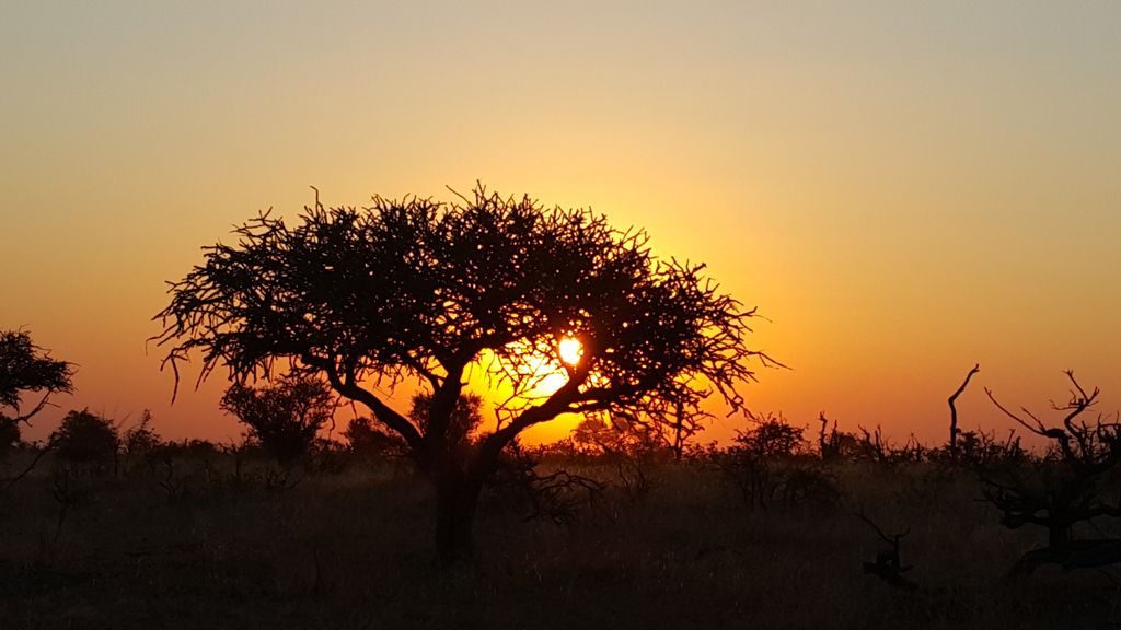 Off to look for Tumelo! Still HOT!!!