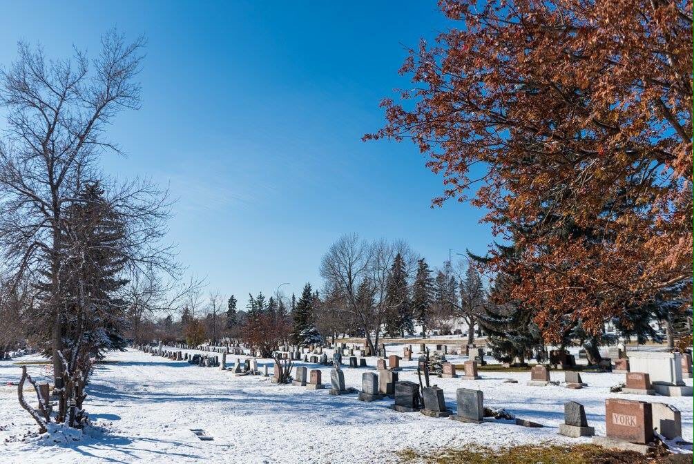 cityofcalgary's tweet photo. Lest we forget. #RemembranceDay https://t.co/B1LZXJgOSL