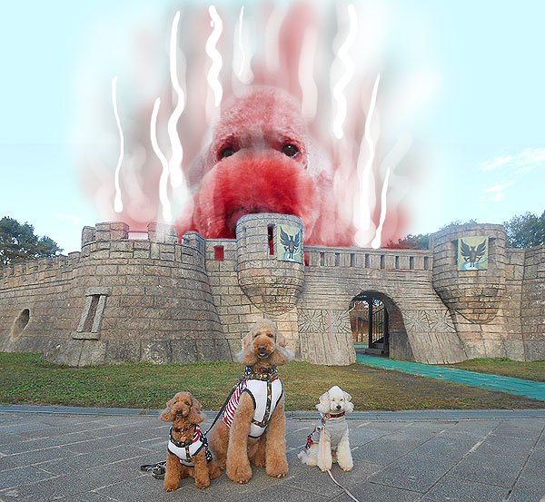 すいませんそこ右に家が