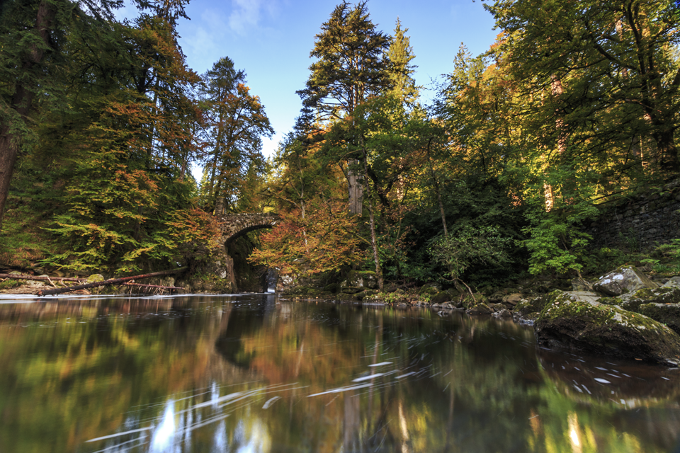 MShannonPhoto's tweet photo. Autumn at The Hermitage, Perthshire.
@N_T_S @CanonUKandIE @LEEFilters  @VisitScotland @welcomescotland https://t.co/zkhHrxrwAB