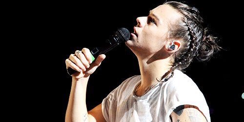 harry archived tweet media