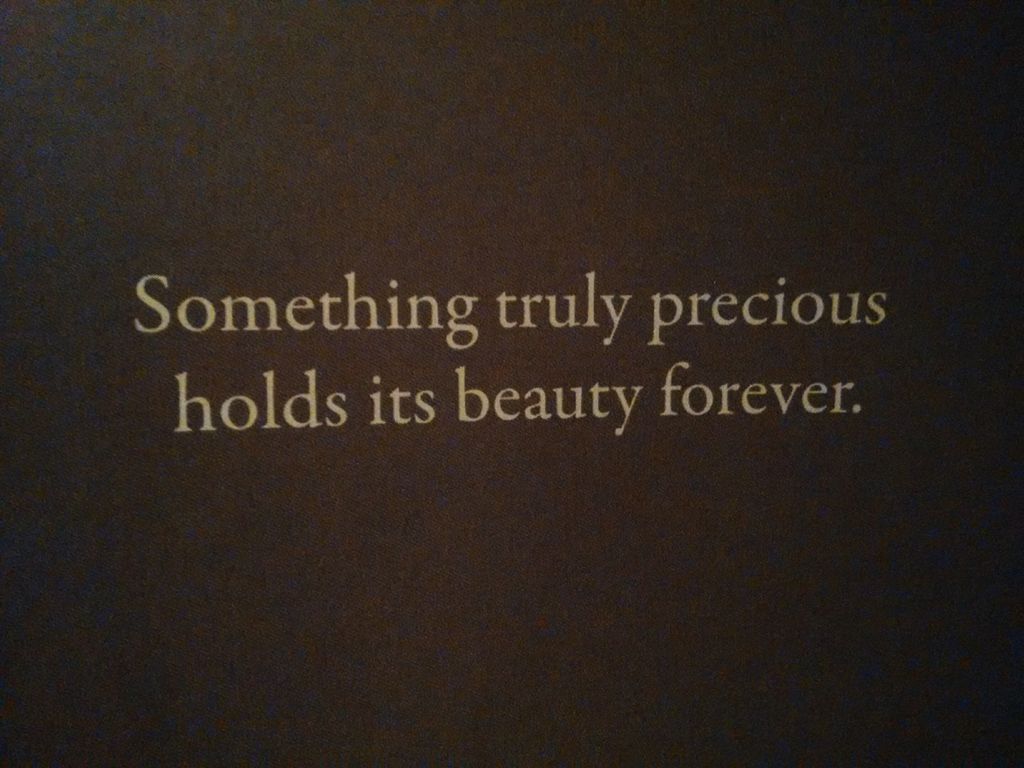 FastNet Media (@fastnetdev) on Twitter photo 