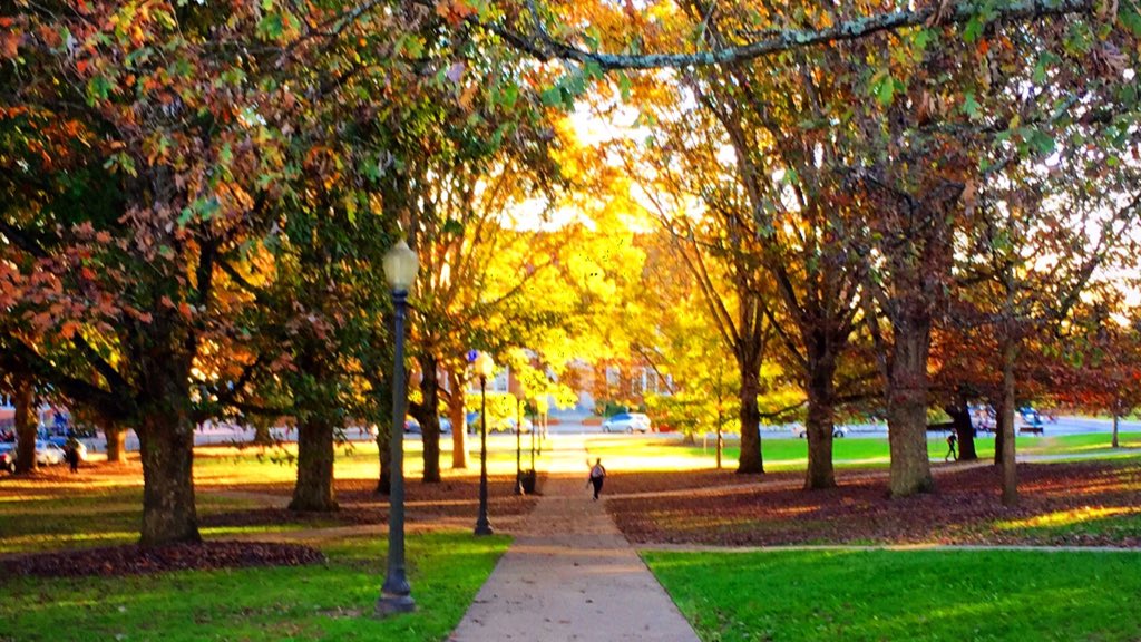 OurClemson's tweet image. This campus really knows how to show off on a beautiful fall day! 🍂🍁
